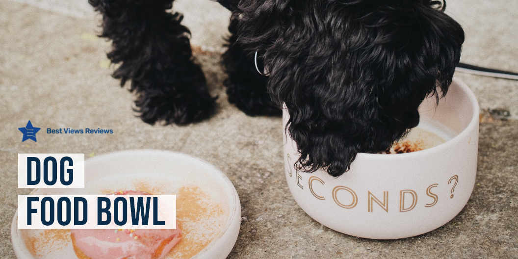 dog food bowl