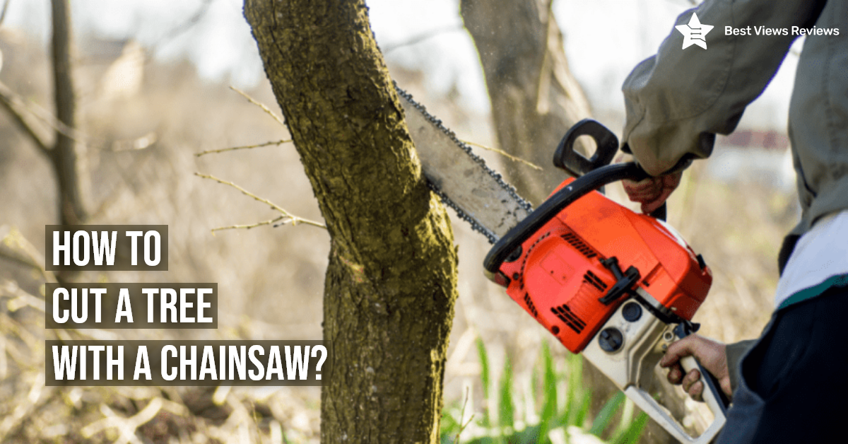 Cut a Tree with a Chainsaw