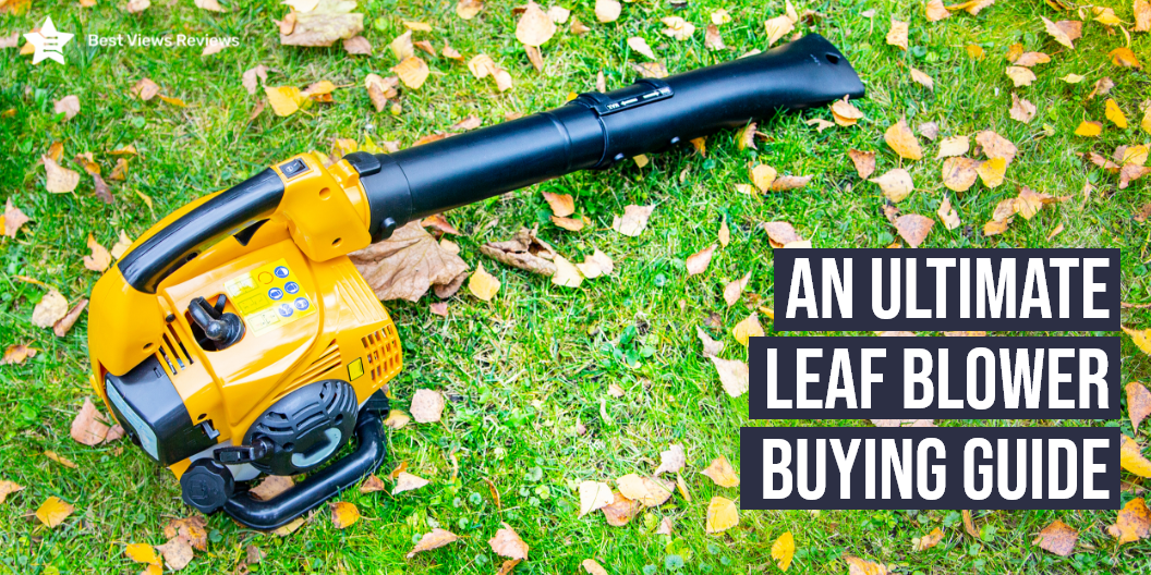 buying a leaf blower