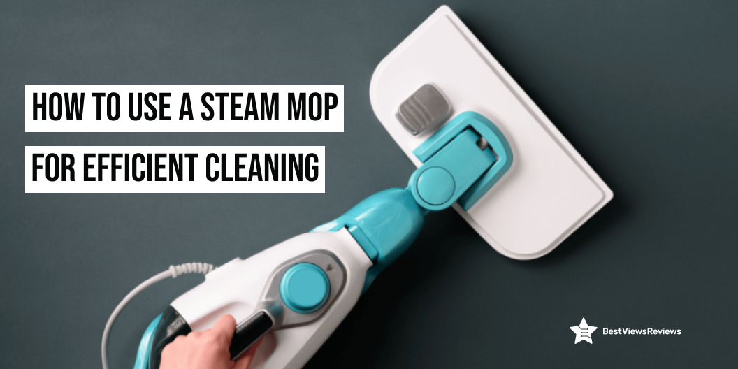 steam mop