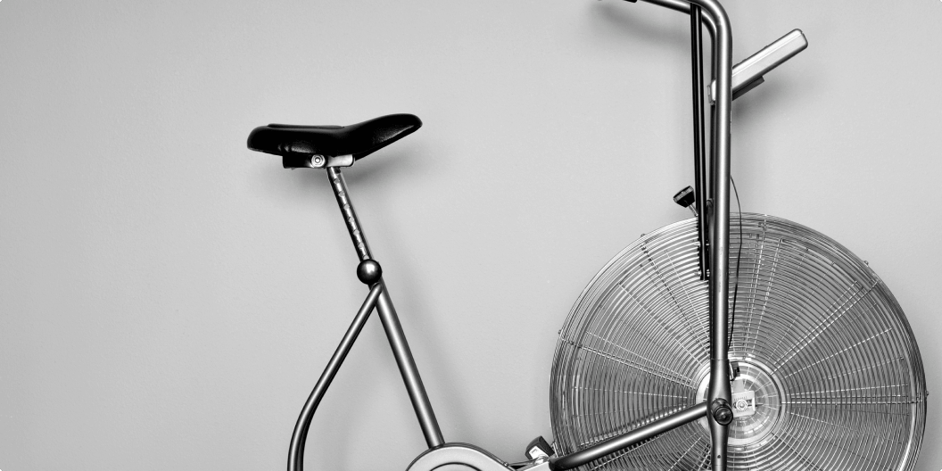 Weslo Exercise Bikes