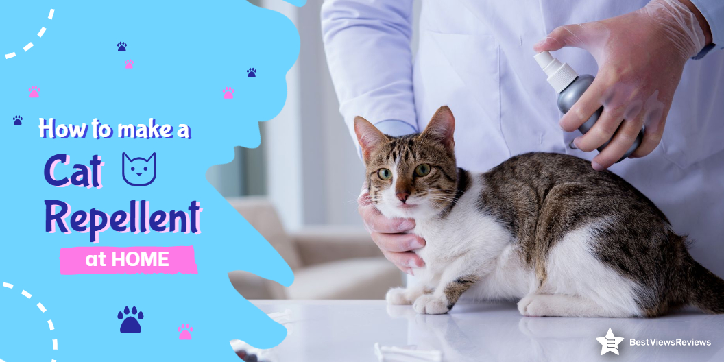 How to Make Cat Repellents at Home