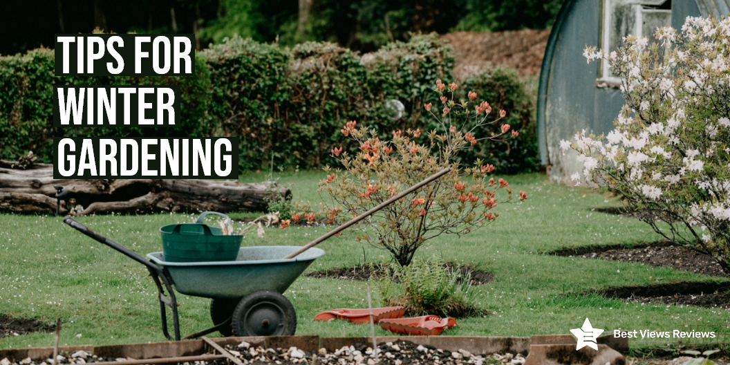 Winter gardening