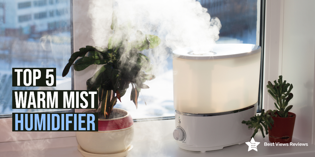 warm mist humidifier