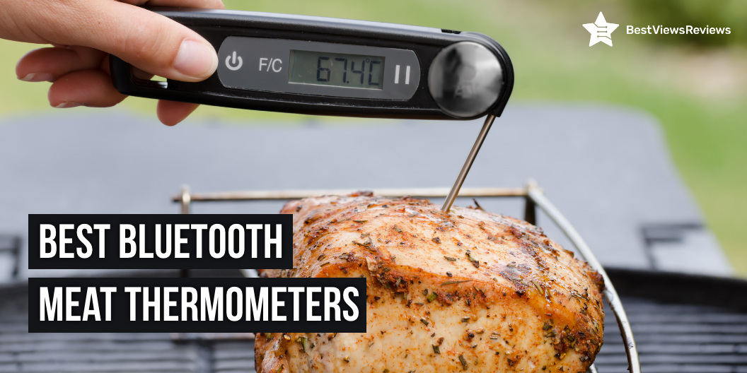 best bluetooth meat thermometers