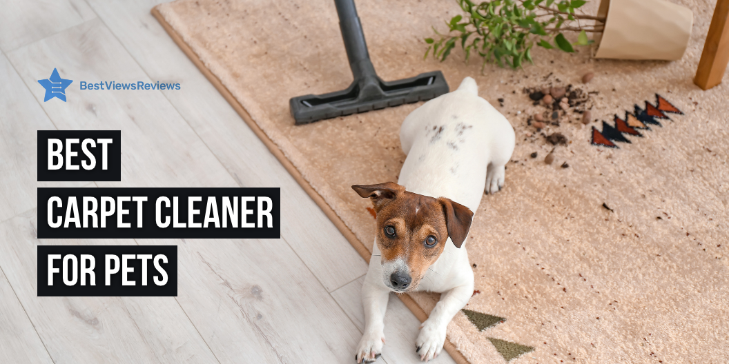 carpet cleaner for pets