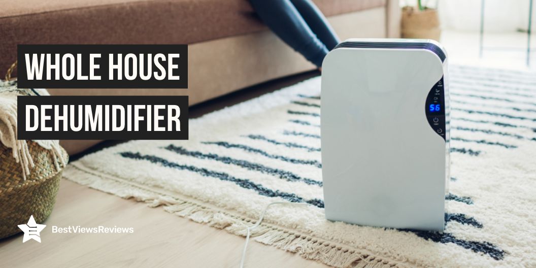 Whole House Dehumidifier