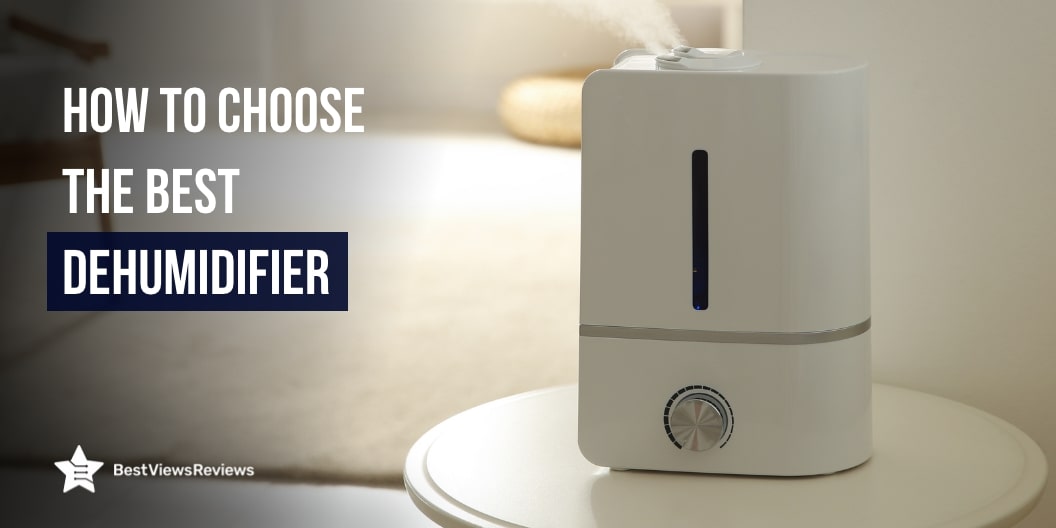 Best Dehumidifier